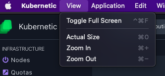 zoom app